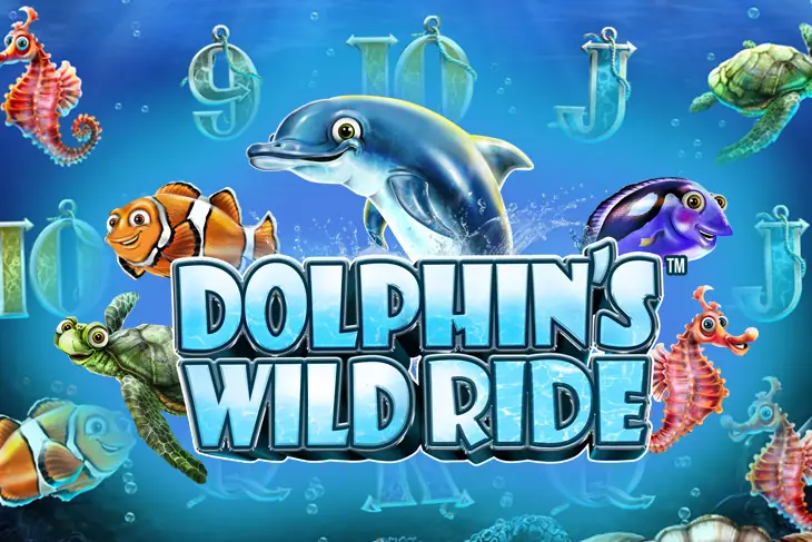 Dolphins Wild Ride